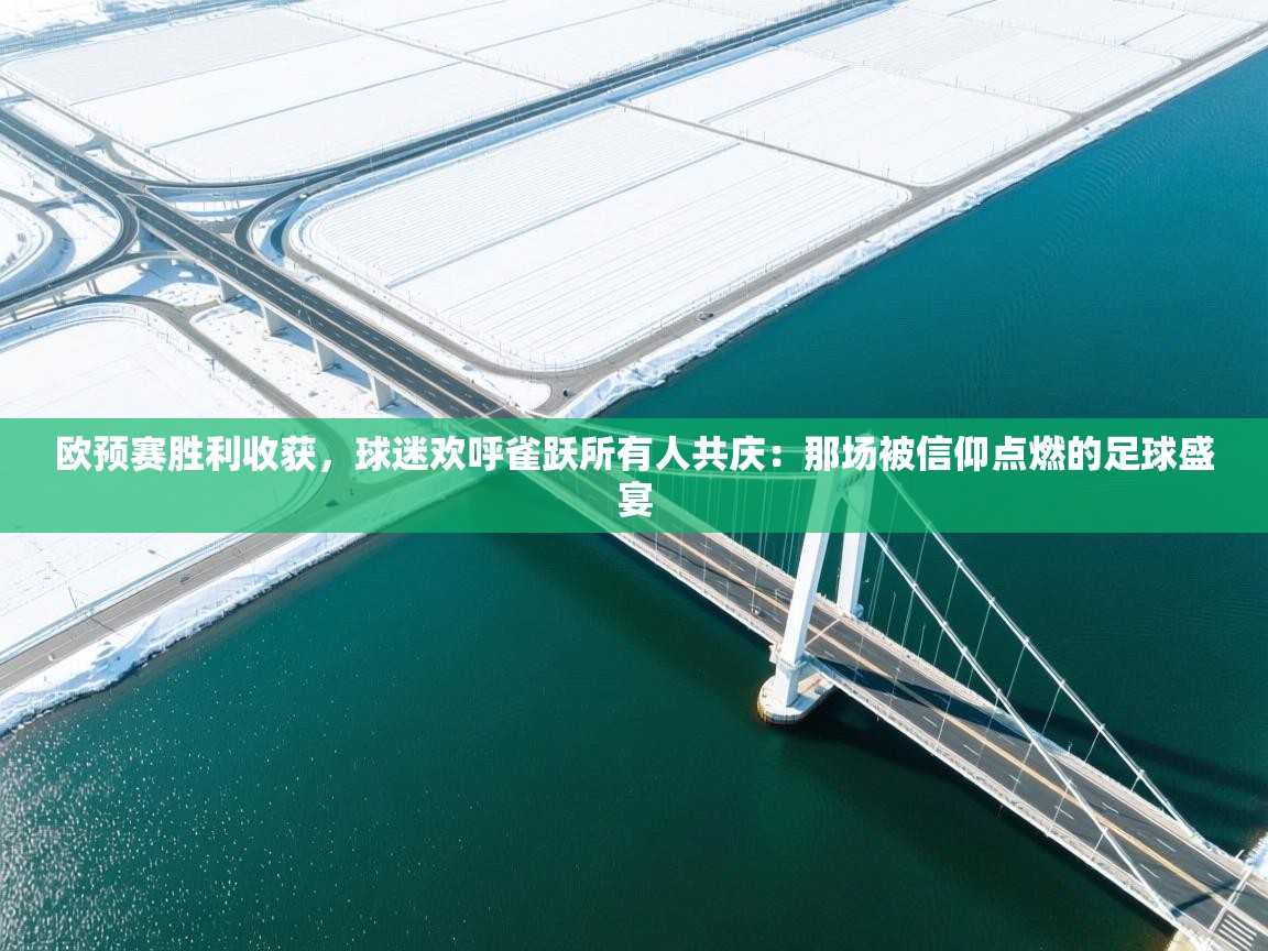 欧预赛胜利收获，球迷欢呼雀跃所有人共庆：那场被信仰点燃的足球盛宴  第1张