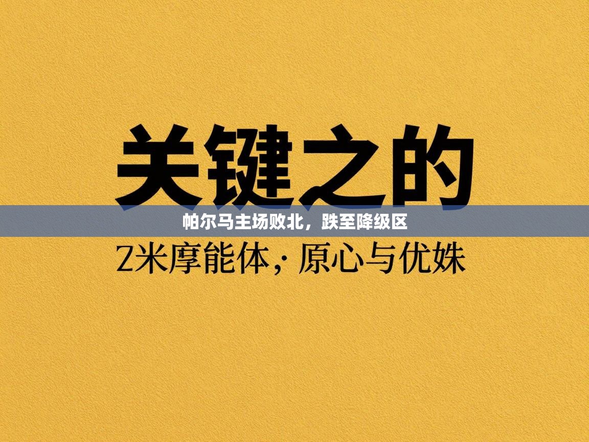 帕尔马主场败北,跌至降级区 第2张