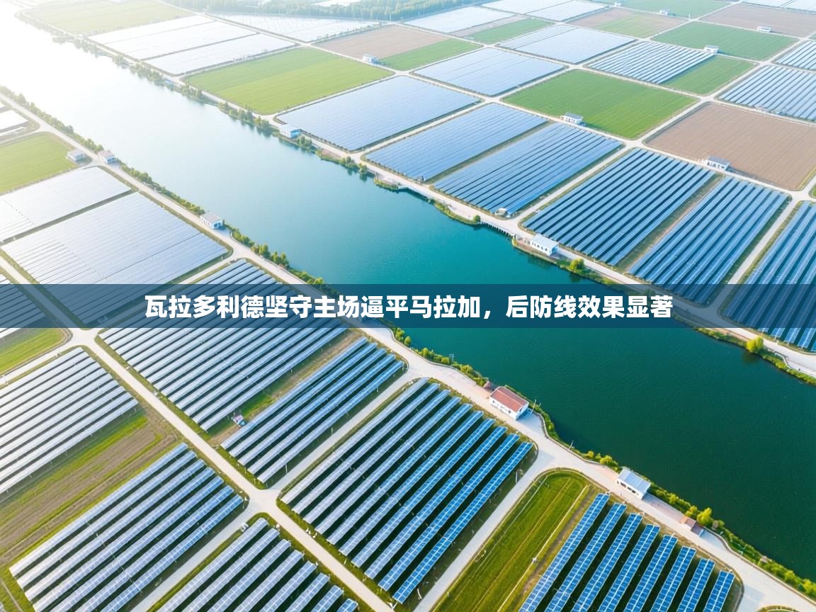 瓦拉多利德坚守主场逼平马拉加，后防线效果显著