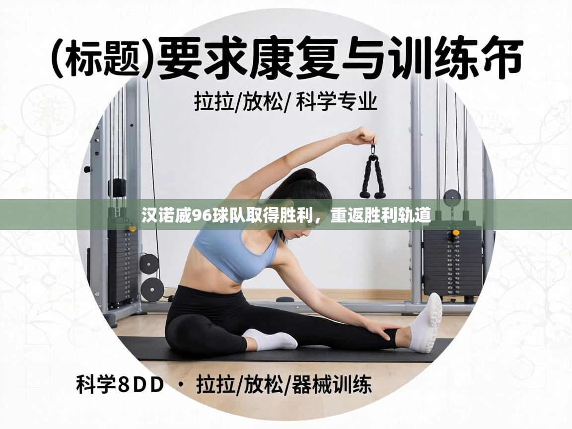 汉诺威96球队取得胜利，重返胜利轨道