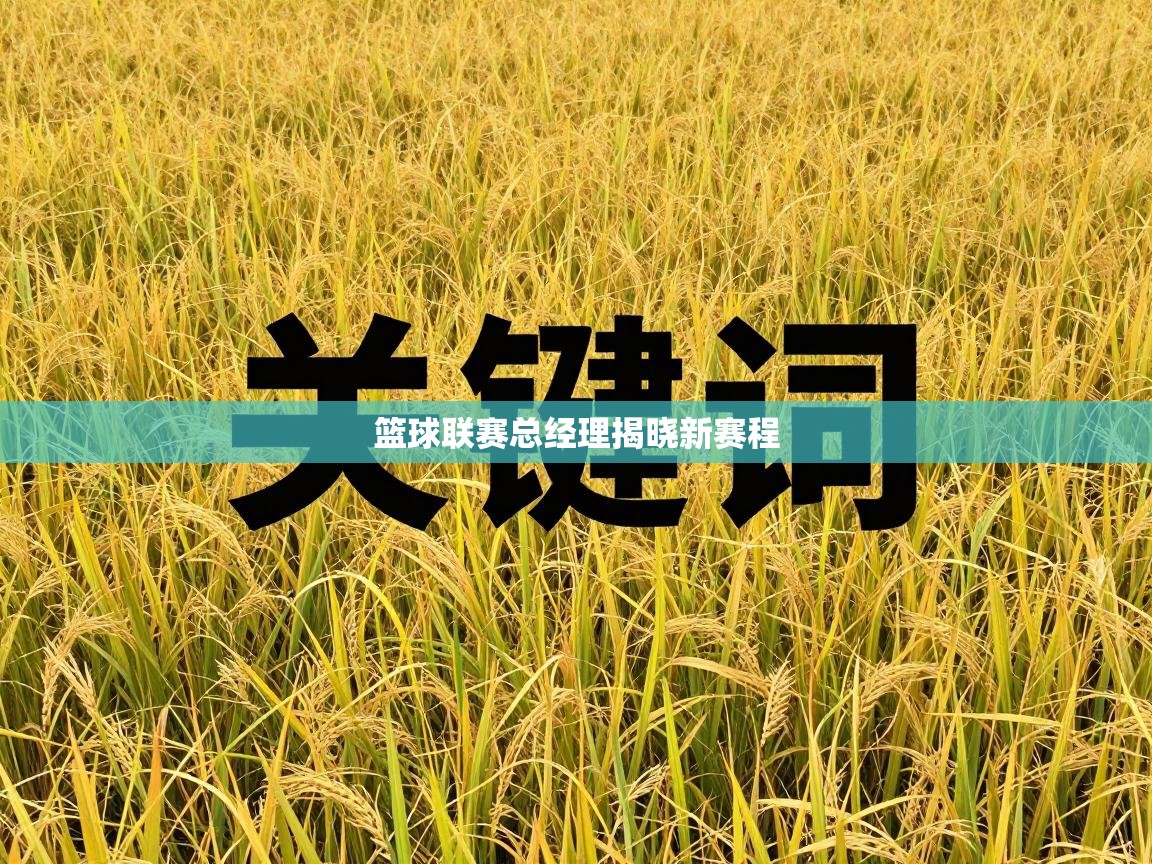 篮球联赛总经理揭晓新赛程  第2张